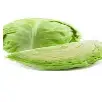 Cabbge White