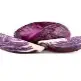 Cabbage Red