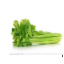 Celery
