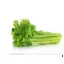 Celery
