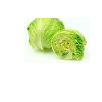 Lettuce Icebarge