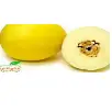 Sweet Melon
