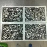 Anchovy