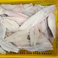 Red Mullet Fillets