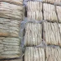 Precook Skipjack Tuna Fish