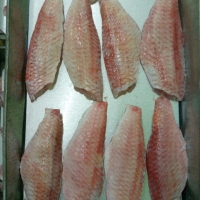 Frozen Red Mullet Fillet