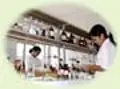 Redtea Trading & Toursim Company factory image