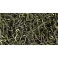 Green tea OPA