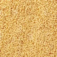 Millet