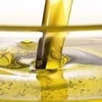 Ultra High Oleic Sunflower Oil