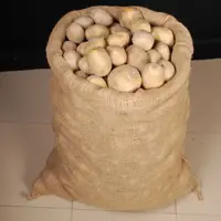 Hessian Bag For Potato Or Onion Packing