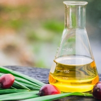 Refined Palm Oil