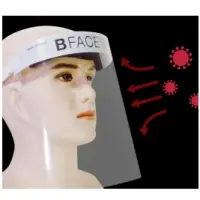 Face Shield