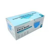 3 Ply Mask