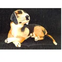Dog soft toys
