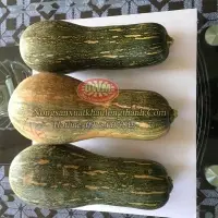 Frozen Pumpkin