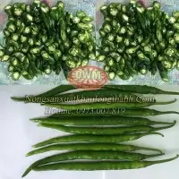 Fresh & Frozen Green Chili