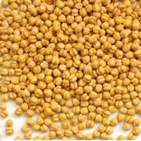 Roasted Chickpeas