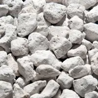 Pumice Stone