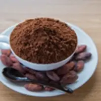 Pure Cocoa Powder (h)