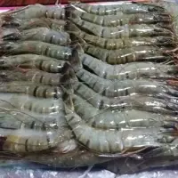 Vannamei Black Tiger Shrimp
