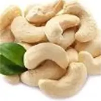 Cashew Nuts