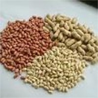 Groundnuts