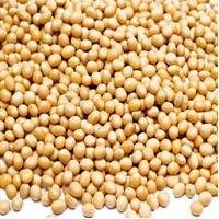 Soya
