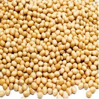 Soya