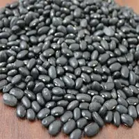 Black Bean