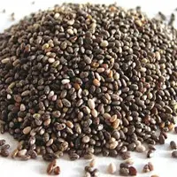 Black Chia