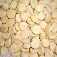 Cusco Giant Maize