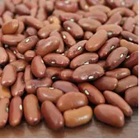 Red Beans