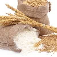 Russian Wheat Flour