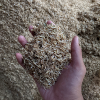 Rice Husk