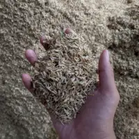 Rice Husk