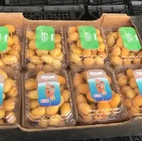 Fresh Barhi Dates