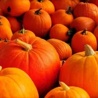 Fresh Pumpkin