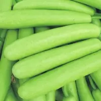 Fresh Bottle Gourd