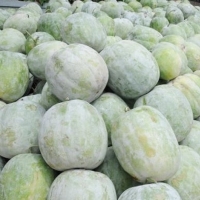 Fresh Ash Gourd