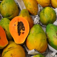 Fresh Papaya