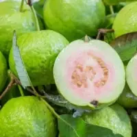 Fresh Thai Guava