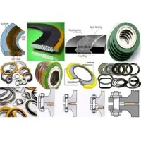 Gaskets & Sealing