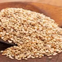 Sesame