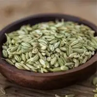 Fennel Seed