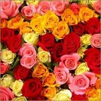Natural edible colors