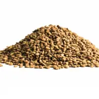 Fenugreek Seeds
