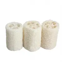 Luffa