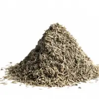 Thyme