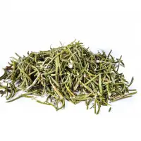 Rosemary